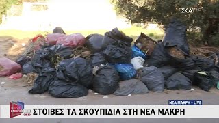 Ν. Μάκρη:Μετά από ρεπορτάζ του ΣΚΑΪ έσπευσαν να μαζέψουν τα σκουπίδια που είχαν δημιουργήσει στοίβες