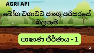 බෝග වගාවට පාංශු පරිසරයේ බලපෑම | පාෂාණ ජීර්ණය 1 කොටස | Agri Api