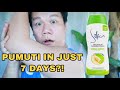 PAANO PUMUTI IN 7 DAYS? SILKA PREMIUM WHITENING LOTION GREEN PAPAYA