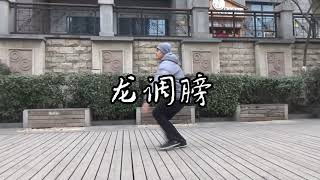 心意六合拳 （心意拳）XinYiQuan KungFu 龙调膀