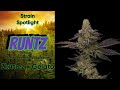 RUNTZ - Strain Spotlight