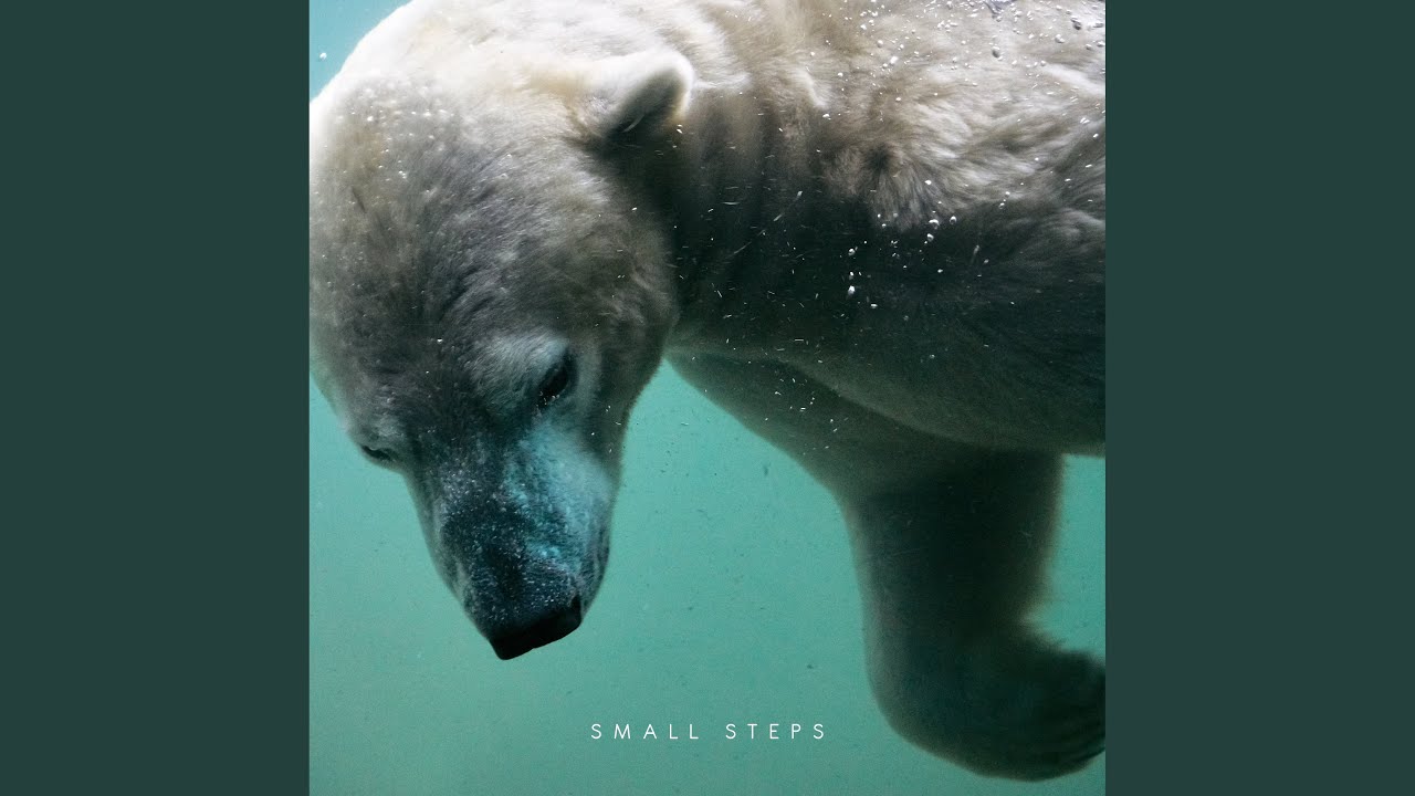 Small Steps Youtube Music
