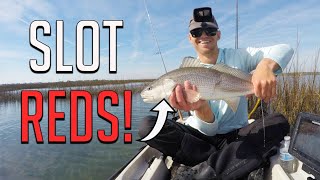 How To Find, Stalk, & Sight Fish Schooling Redfish