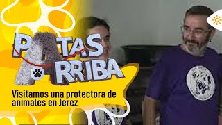 Patas arriba | Visitamos una protectora de animales en Jerez afectada tras el paso de la DANA