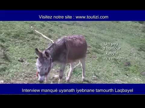 Humour Kabyle Vulgaire