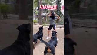 Rottweilers Dancing To Her Tunes. #shorts #rottweiler  #namitaology
