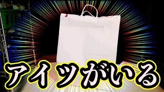 関東最大級の昆虫ショップが作る福袋が赤字覚悟過ぎて心配になった