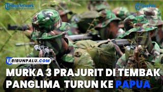 Murka 3 Prajurit TNI Tertembak hingga Gugur, Panglima TNI Berangkat ke Papua, Siap Hadapi KKB