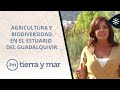 Tierra y Mar | Acuicultura y biodiversidad dentro del Estuario del Guadalquivir