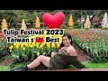 TAIWAN'S PRIDE / TULIP FESTIVAL 2023