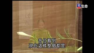 佛心花海_一片幽香_李麗淑老師_(lifetv_20200817_11:00)