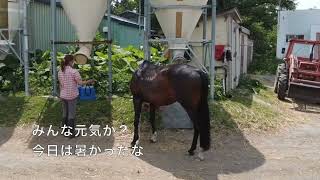 あーこっこ乗馬日記〜閲覧注意！オーナー２人が破廉恥だぜ！