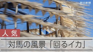 【人気】超高速で回るイカ、カプセルトイも登場　天日いか乾燥機