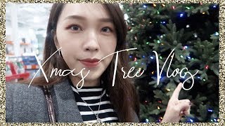 人生第一棵聖誕樹🎄First Christmas Tree in My Life | heyitsmindy