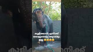 കുളിക്കാൻ എനിക്കു ഒരാളുടെയും ആവശ്യം ഇല്ല 🤣🤣🤣