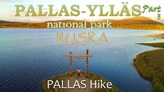 Pallas Finland Ruska Autumn Trip at Lapland