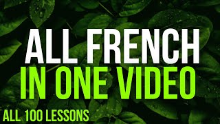 All French in One Video All 100 Lessons. Learn French. Most important French phrases and words.