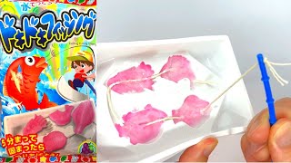 Pounding fishing ドキドキフィッシングDIY candy(Japanese snack)