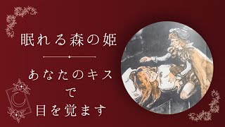 【眠くなる】運と勇気の結果『眠れる森の姫👸』レトロな絵が誘うロマンスの世界