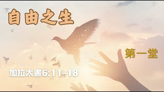 林口靈糧堂 20241103 主日線上直播(第一堂) 【 自由之生】 程臻怡傳道