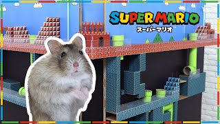 【ハムスターアスレチック】スーパーマリオタワー｜Hamster Athletics – SUPER MARIO TOWER