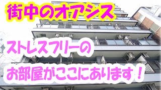 一人暮らし  岡山駅近くの賃貸マンション 1K[岡山市北区富田町]