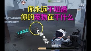 第五人格：当你在认真和监管者做斗争时，你的宠物在干些什么？