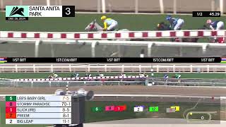 Slick (IRE) Race 3 on Thursday, December 26 at Santa Anita Park