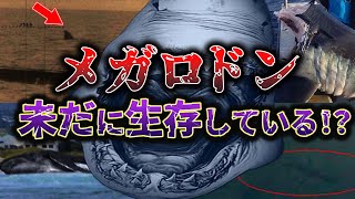 【ゆっくり解説】メガロドンって生存するの!?生存証拠と絶滅についてその謎に迫る【真相】【マリアナ海溝】