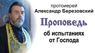 Проповедь об испытаниях от Господа (2021.07.09). Протоиерей Александр Березовский