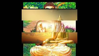 Buddha shorts | Buddha quotes | Buddha status | Buddha thoughts | Sachai Ko Apni Jameen banayein
