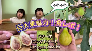 【イチジク食レポ】バナーネ/ロングドゥート(Longue daout)最大級の大きい実のイチジク。ふわふわ食感ねっとり甘くて美味しい。子供も喜んで食べる品種。家庭菜園にもおすすめ。