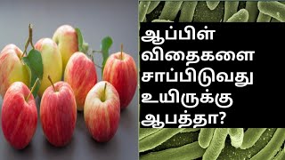 ஆப்பிள் விதை சாப்பிட்டால் உயிருக்கு ஆபத்தா?| Are apple seeds poisonous? #appleseeds #poisonous