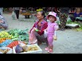 pregnant woman harvesting purple sapodilla in near cemetery to sell 30 days in the forest