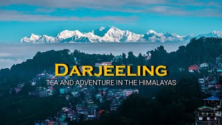 Destination Darjeeling - Tea and Adventure in the Himalayas - First Peek