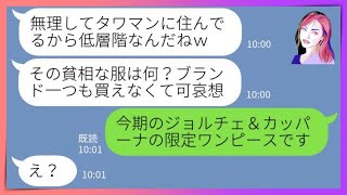 【LINE】タワマン低層階の私を高層階住みのDQNママ友が見下す「ブランド物一つ変えなくて貧乏」→本当の私の正体を知った時の慌てっぷりがざまぁｗｗ【スカッとする話】