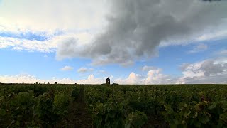 reportage : Muscadet Ménard-Gaborit