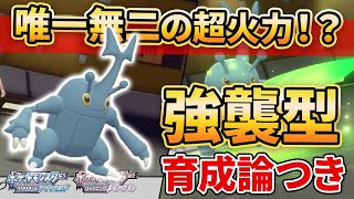 【ダイパリメイク】ダイパ環境の”ヘラクロス”がウッキウキで活躍してて楽しすぎるww【ポケモンBDSP】(育成論付き)