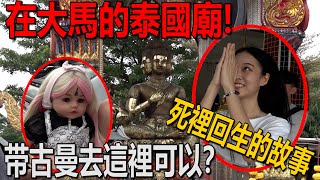 被龍婆托救了兩命！美女帥哥分享死裡回生的奇跡故事！帶古曼來這裡可以！在大馬裡的泰國廟！古曼很開心！會抽煙的神明？！ft@lunacy2656 @CarlaOliwar @jiajiiia