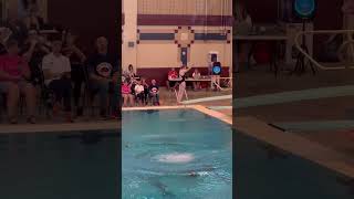 2023 LauraWilkinsonMeet 1m Springboard Diving: Dive 5: 5231d #dive #springboard