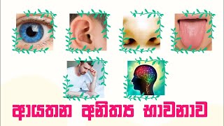 අනිත්‍ය ආයතන භාවනාව - පරම පුජණිය කිරිබත්ගොඩ ඤාණානන්ද ස්වාමීන් වහන්සේ