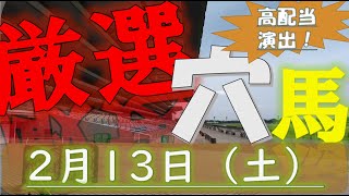 【厳選穴馬】2月13日（土）中央競馬より厳選4頭！【クイーンＣ】＃競馬＃競馬予想#keiba