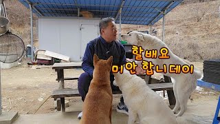 탈출해서 돌아온 보리의 애교