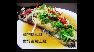 【亂吹】動物傳心師 - 世界最強工種[中文字幕]