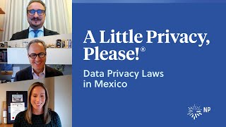 Cybersecurity in the EU beyond the GDPR | A Little Privacy, Please! | Nixon Peabody