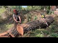 chainsaw tips on hand filing a new chain. first filing.