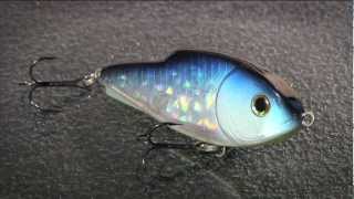 ThunderSlide Shad