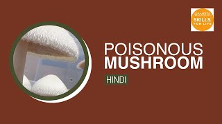 4. Poisonous Mushroom (Hindi) (हिन्दी)