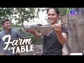 Farm To Table: Chef JR Royol catches a humungous pangasius fish!