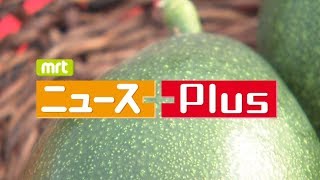 MRT ニュースPlus 11月23日放送